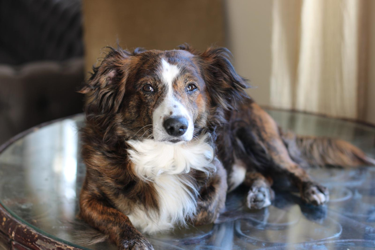 RUS FİNOSU OĞLUMA EŞ 4